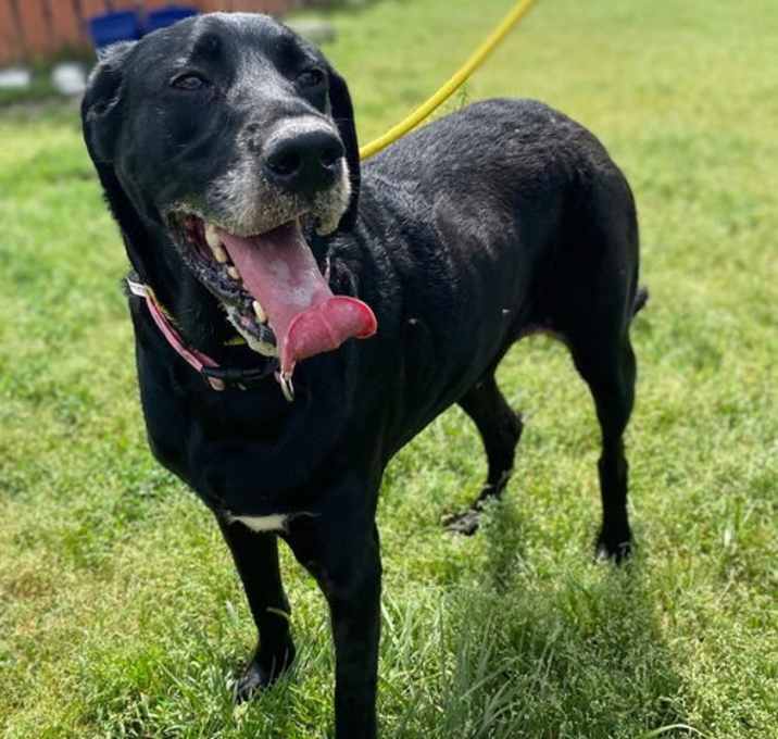 Photo of Buddy Apr 25