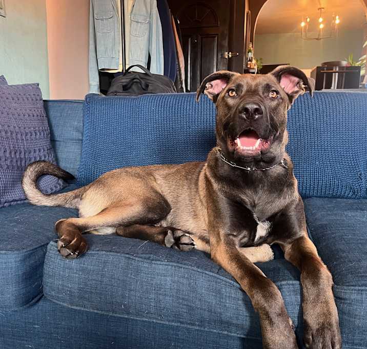 Photo of Bram