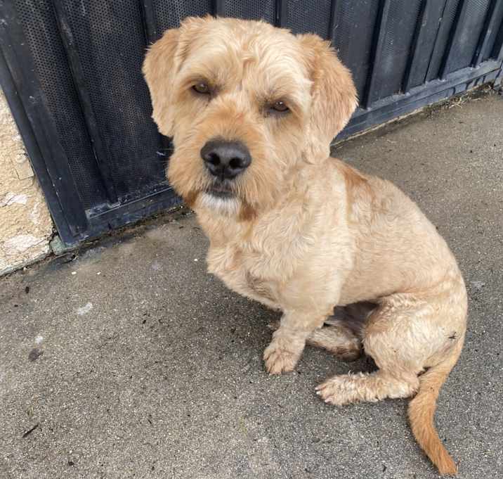 Photo of Teddy