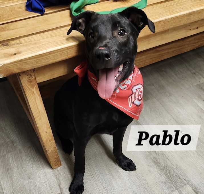 Photo of Pablo