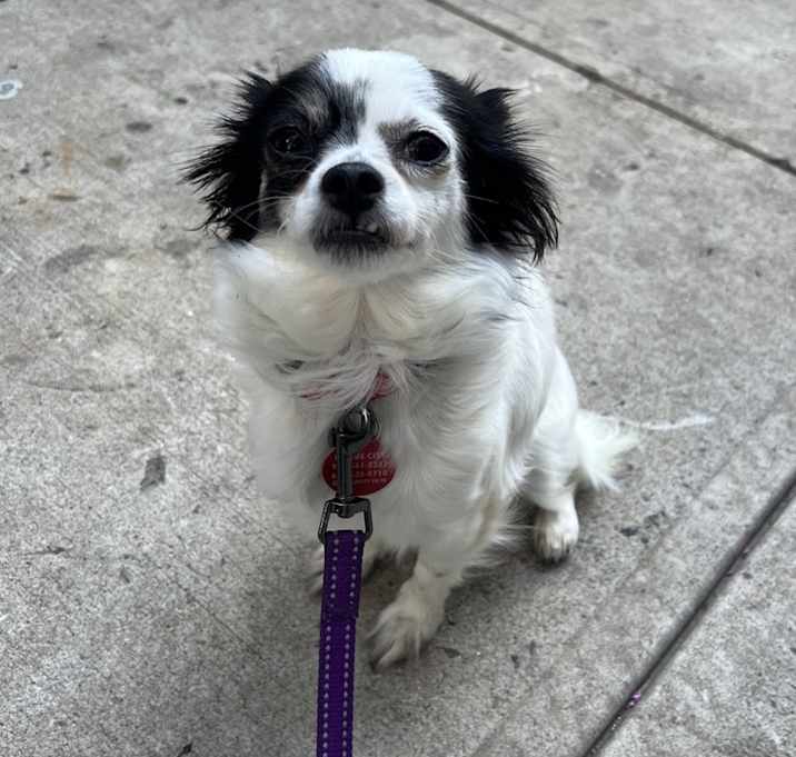Photo of Evie