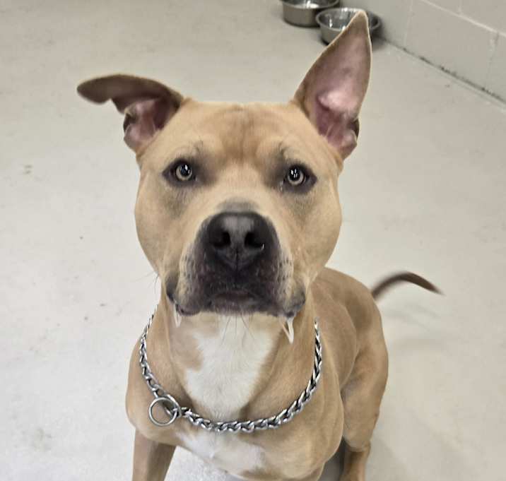 Photo of Reggie