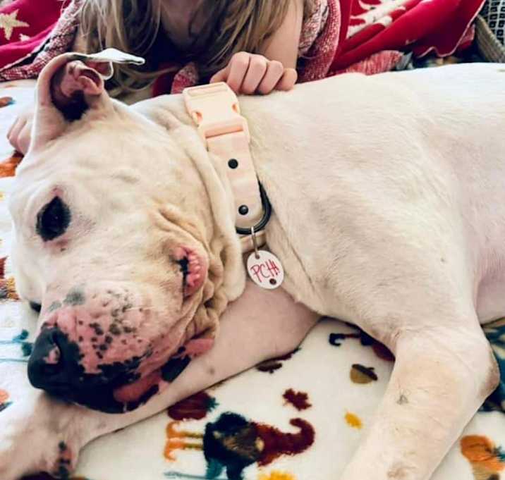 Photo of Holly