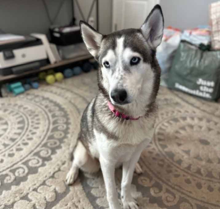 Photo of Kiki