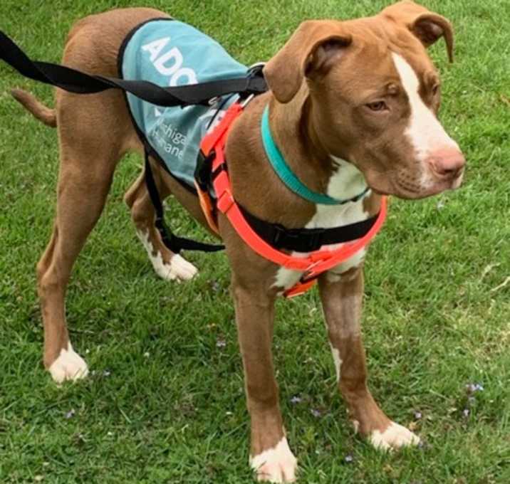 Photo of Spike