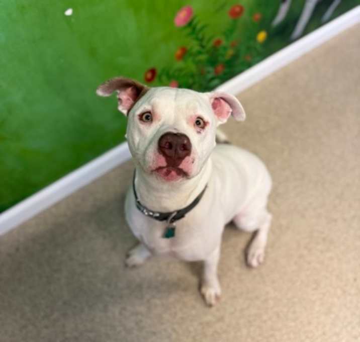 Photo of Remington