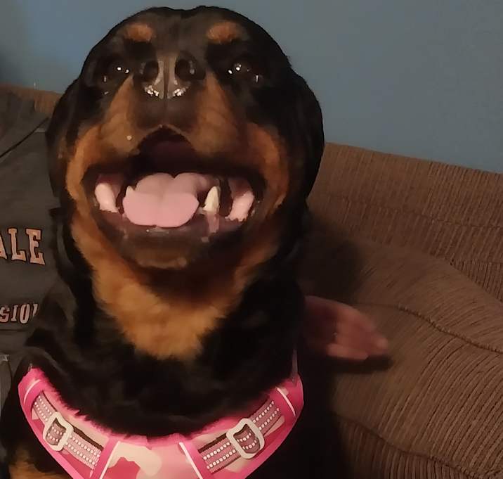 Photo of Ruby