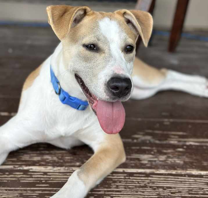 Photo of Luna