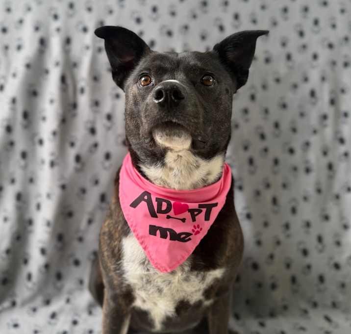 Photo of Lola