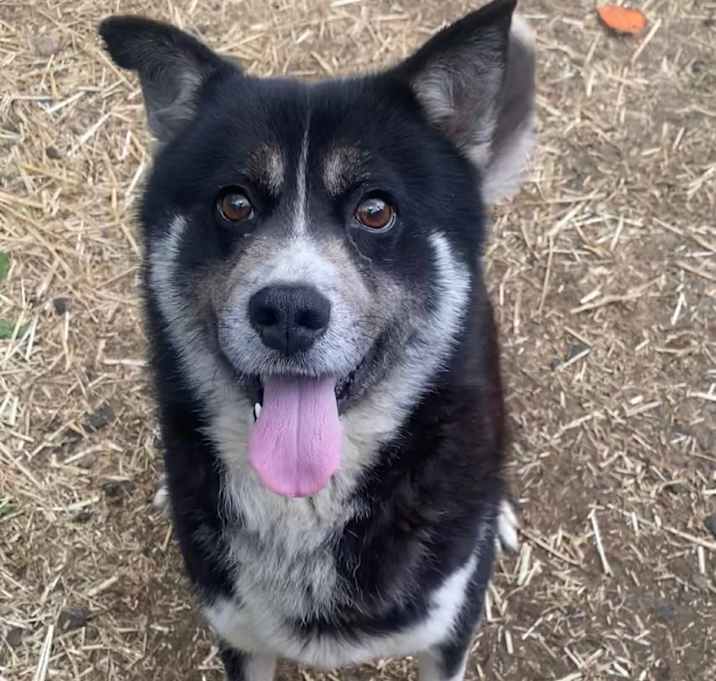 Photo of Jax 