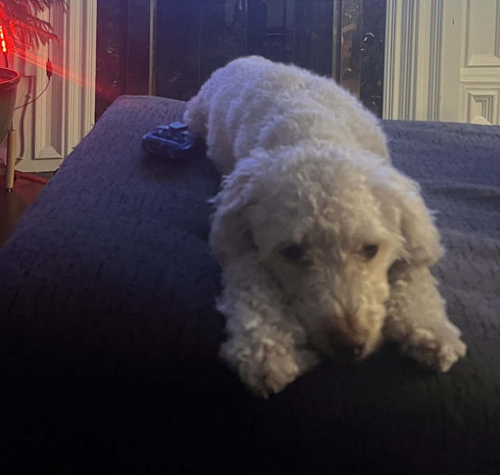 Photo of Midi