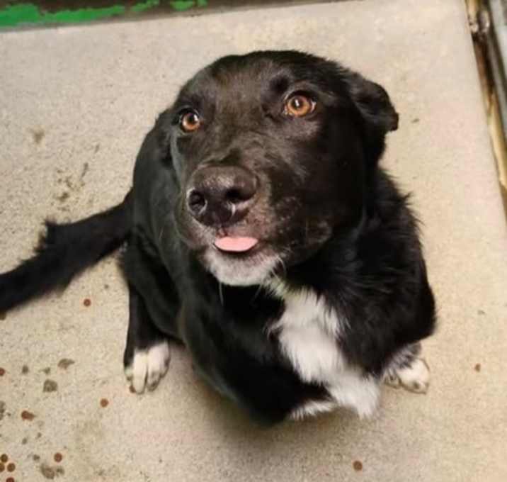 Photo of Mack