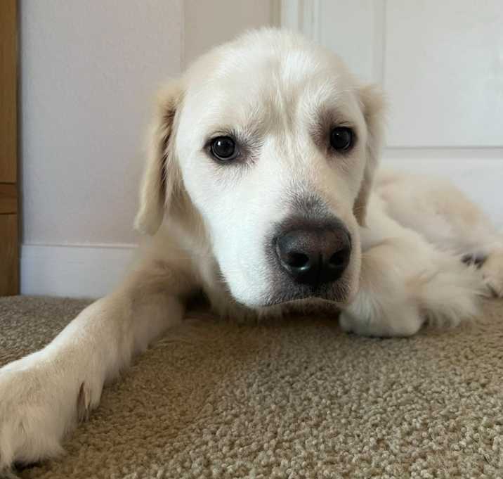 Photo of Sora