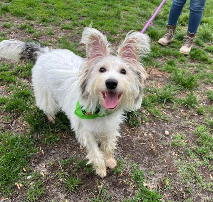 Photo of Mabel