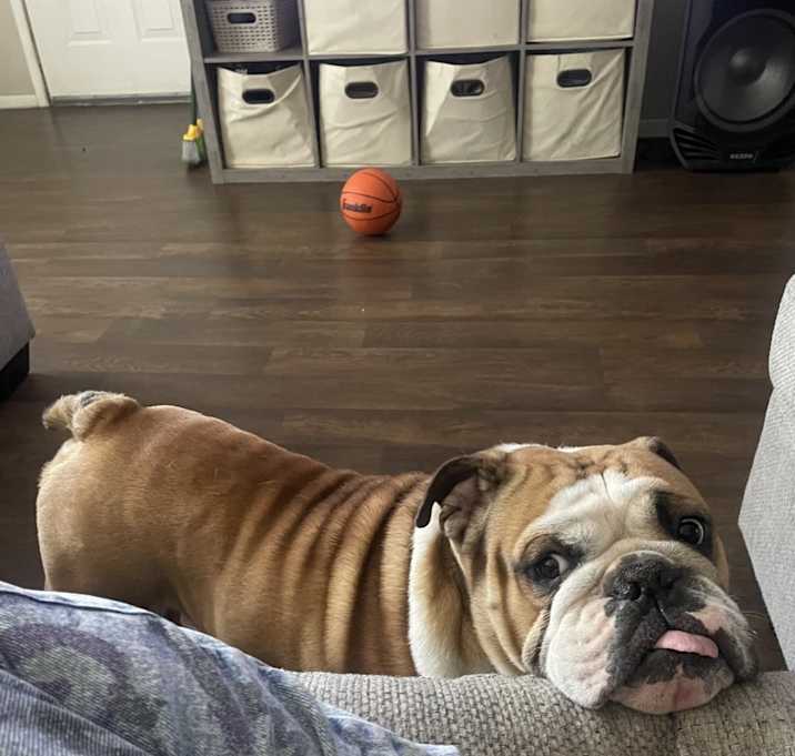 Photo of Chapo