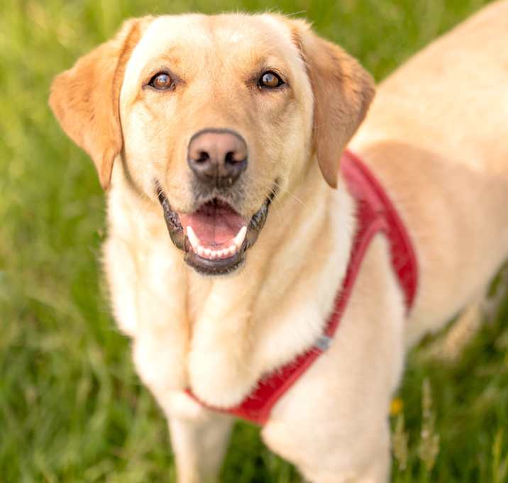 Photo of Winnie
