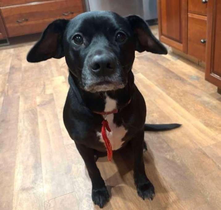 Photo of Pearla