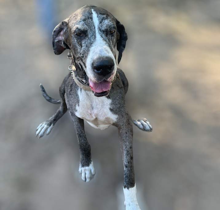 Photo of Benny
