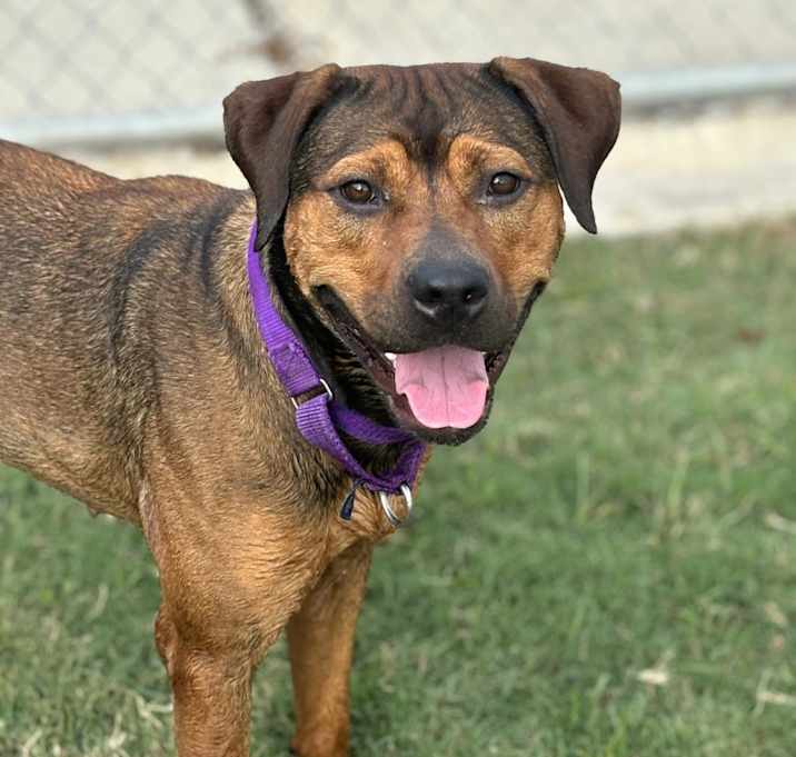 Photo of Penelope