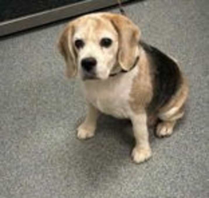 Photo of Junebug