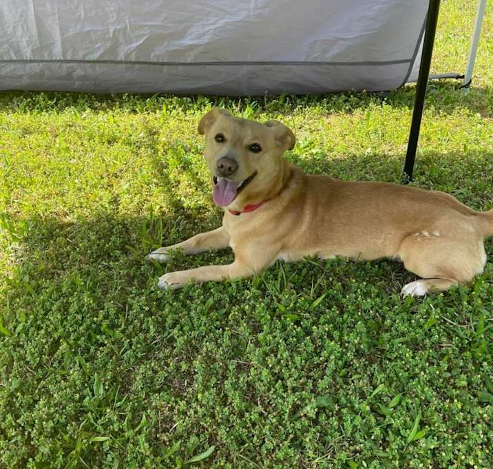 Photo of Polo