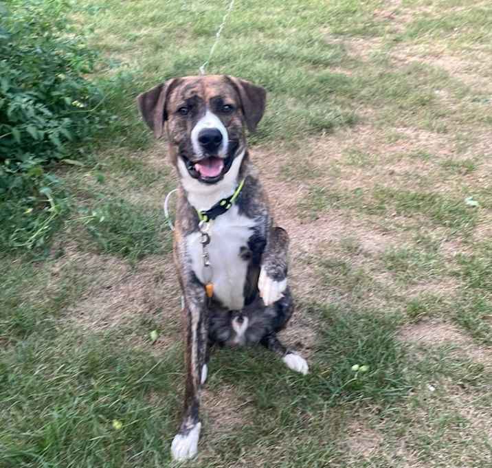 Photo of Nova