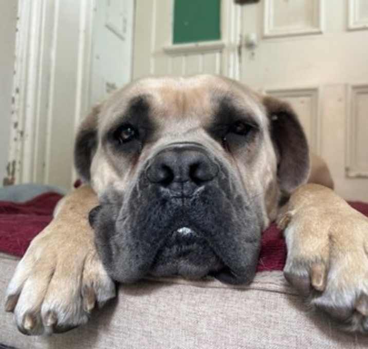 Photo of Jake