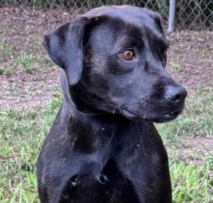 Photo of Zoomie Autrey