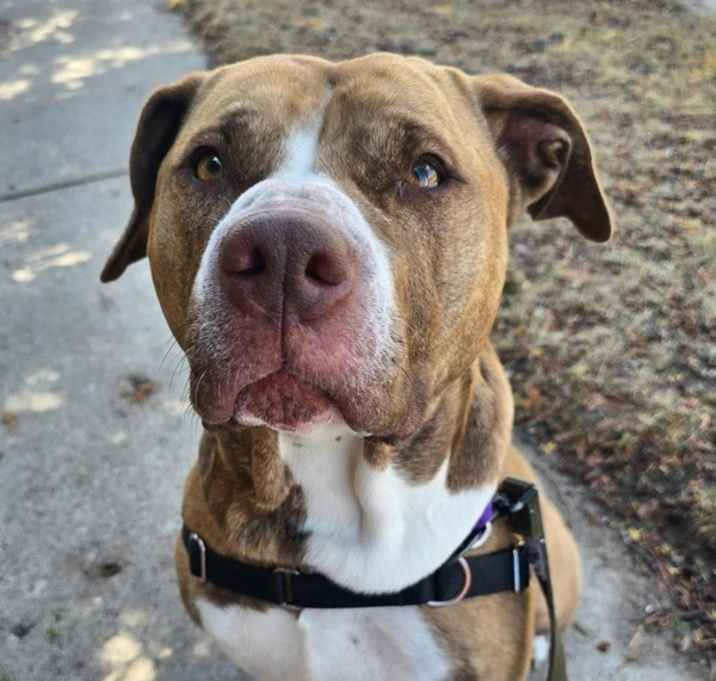 Photo of Cleo