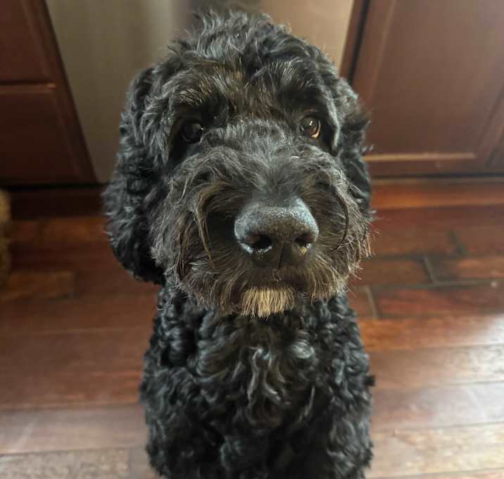 Photo of Jack