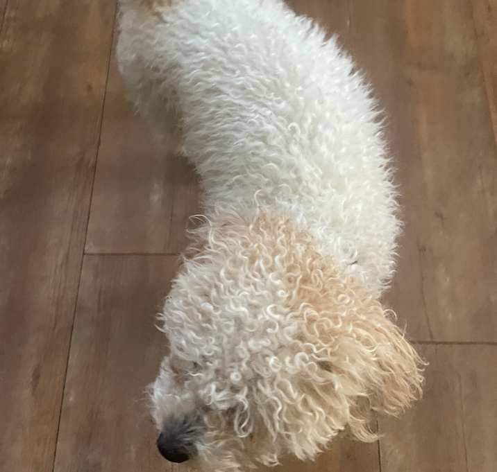 Photo of Lucas