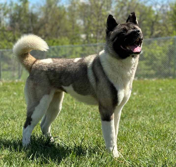 Photo of Yuki