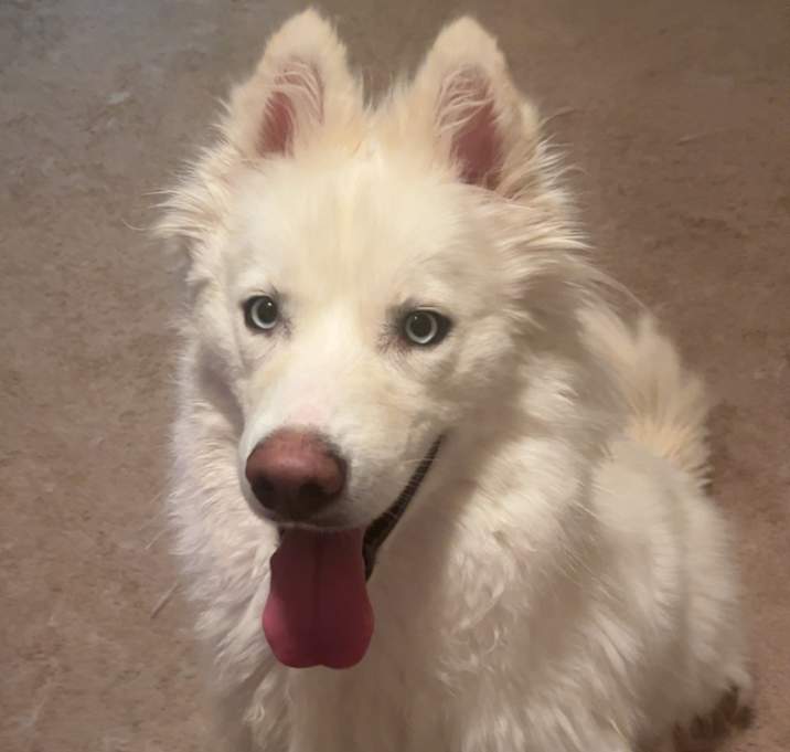 Photo of Aspen