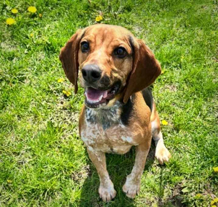 Photo of Clyde