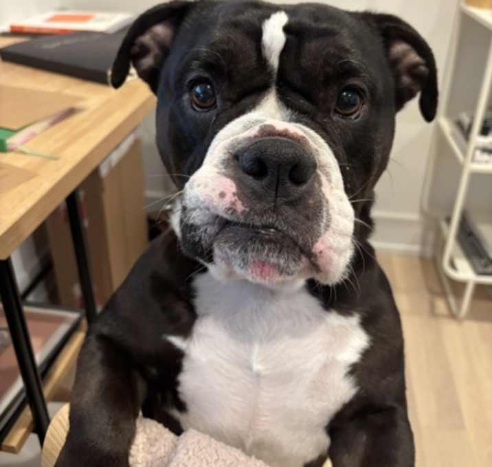 Photo of Mitzi