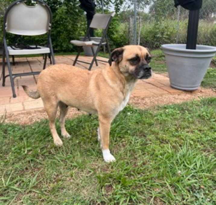 Photo of Lucy
