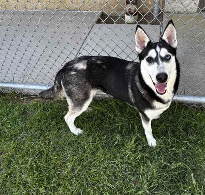 Photo of TALA