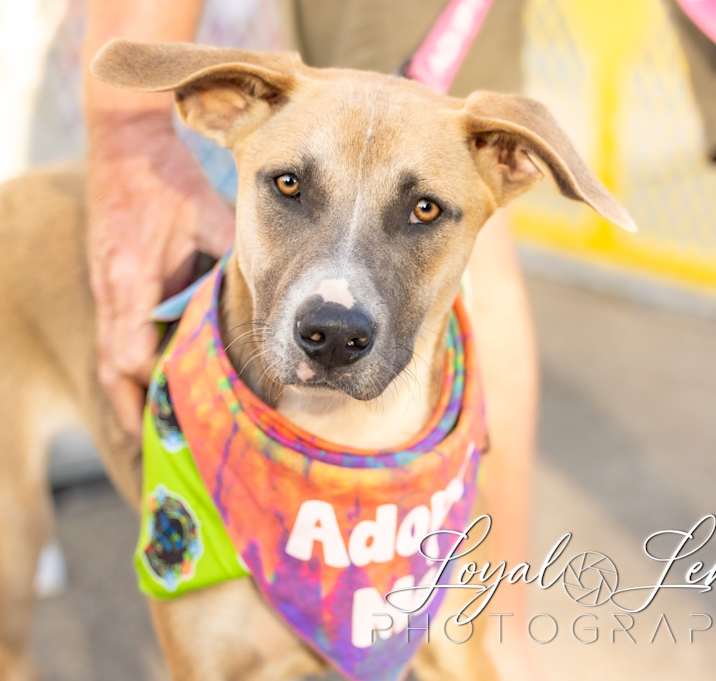 Photo of Ruthie