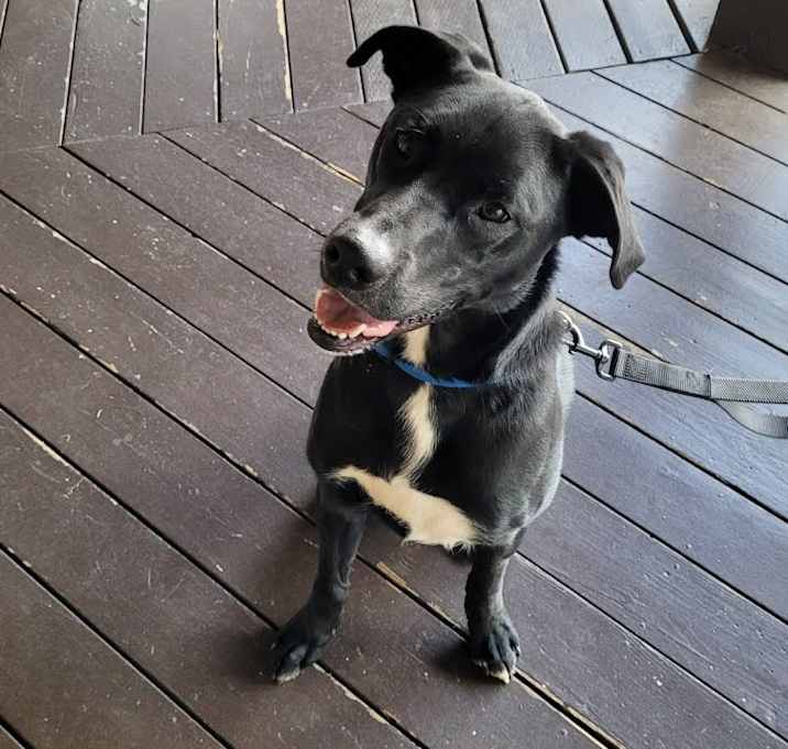 Photo of Zeus 