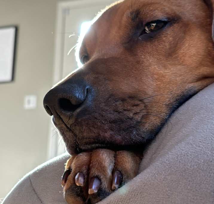 Photo of Anakin