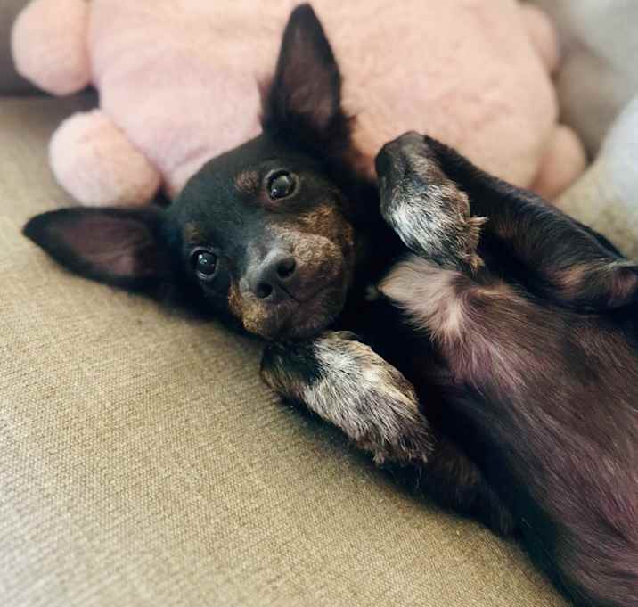 Photo of Fritzi