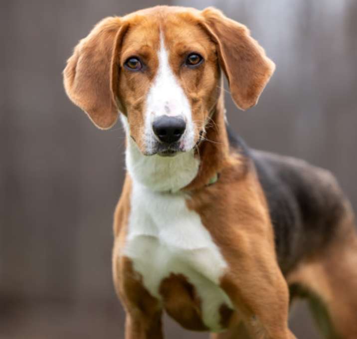 Photo of Miller-Stratford