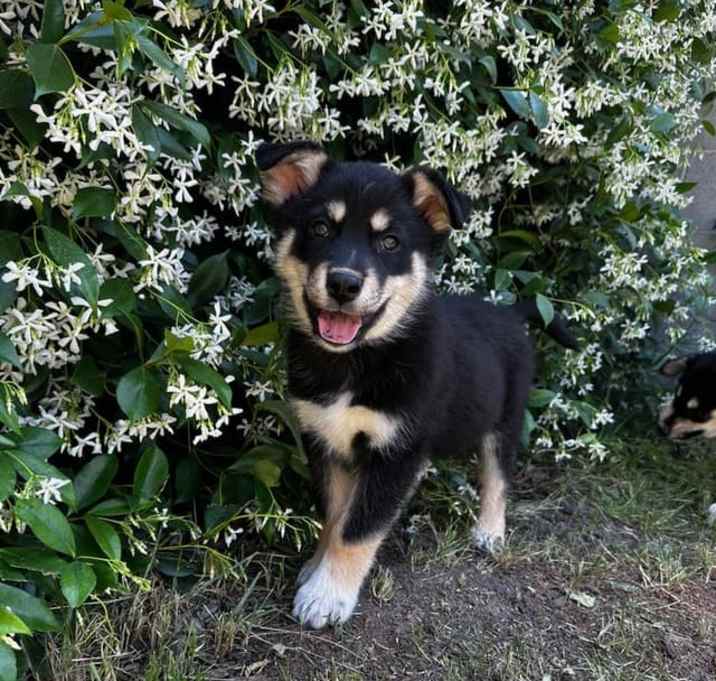Photo of Teddy