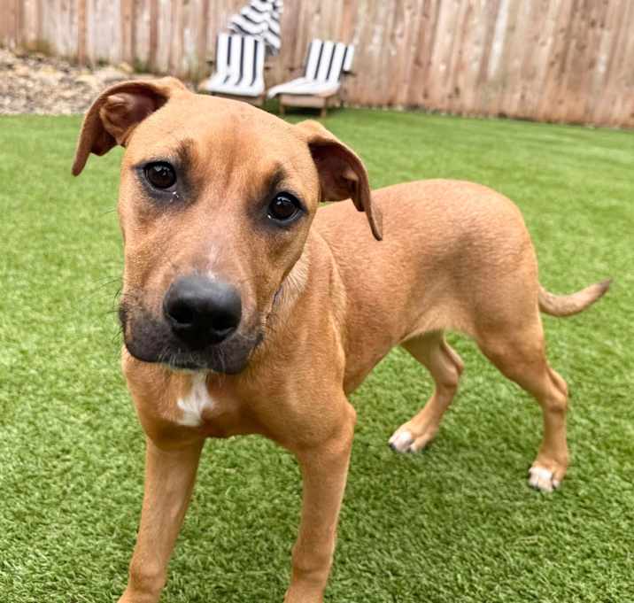 Photo of Ms. Scooby