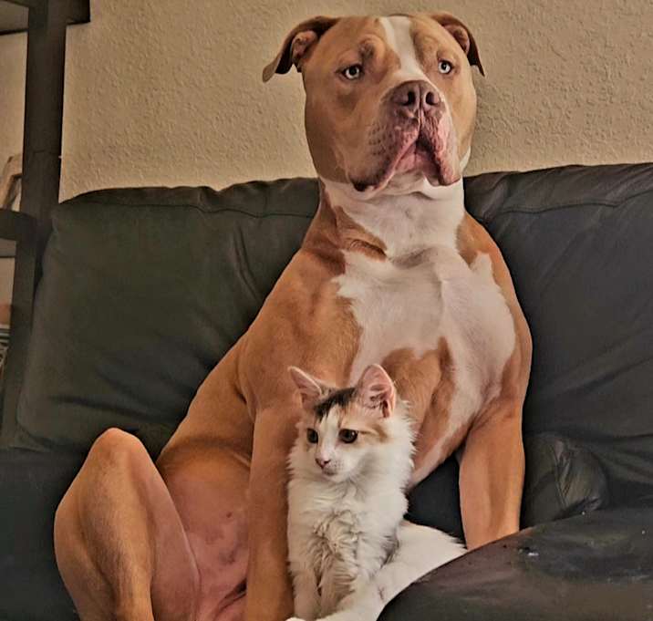 Photo of Maximus