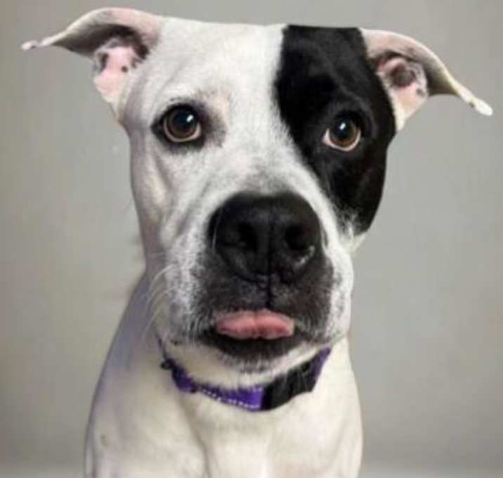 Photo of Zeus