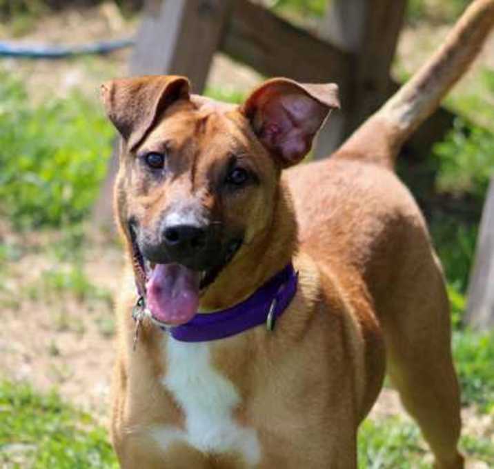 Photo of Tyson