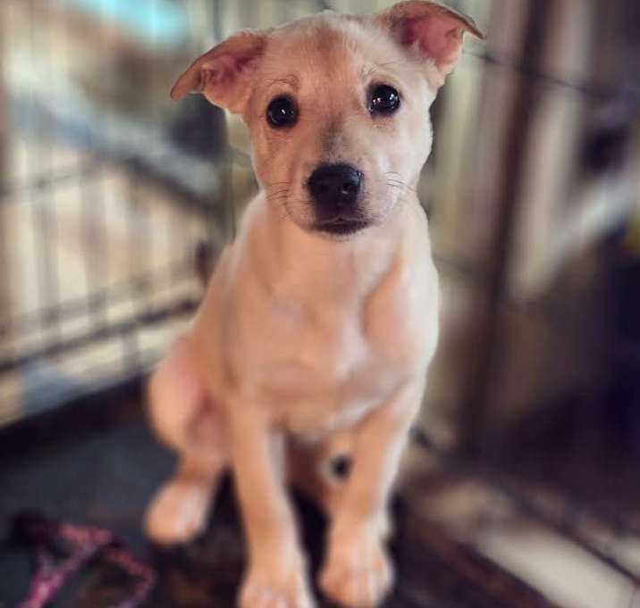 Photo of Knox