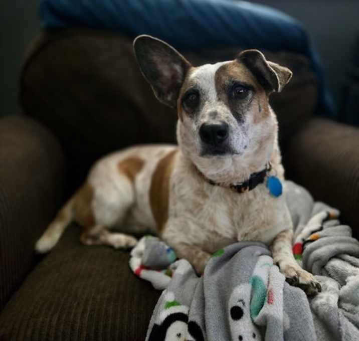 Photo of Riley