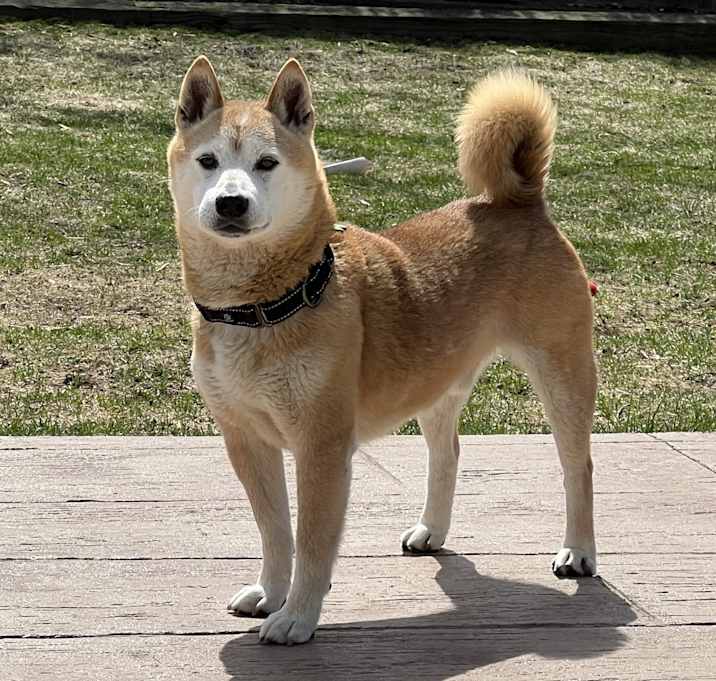 Photo of Bud